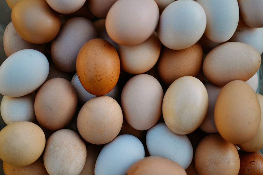 Eggs &amp; Egg Products