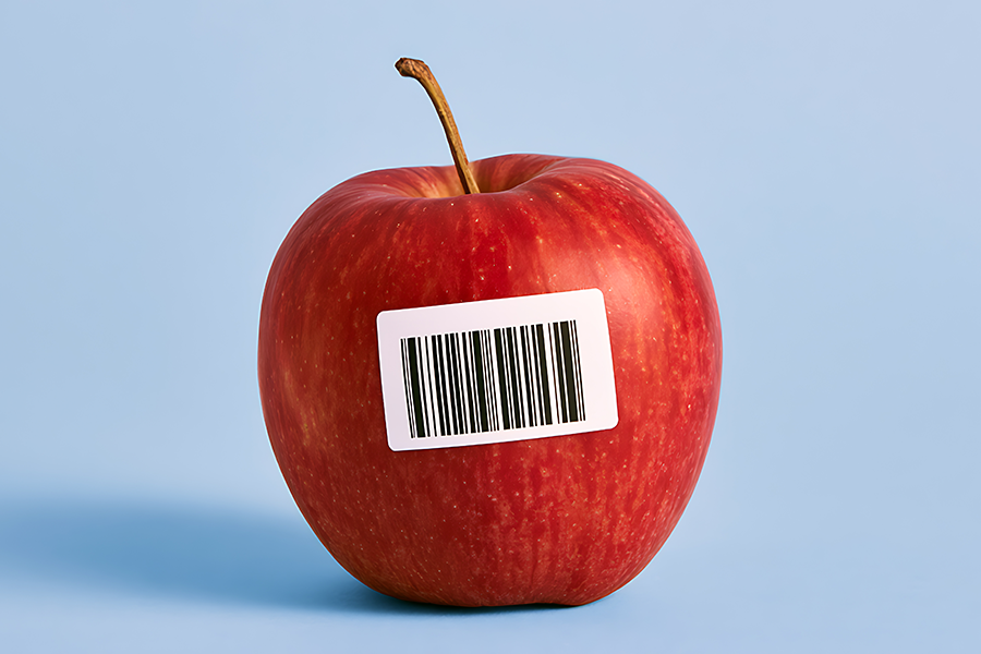 Labelling &amp; Identification